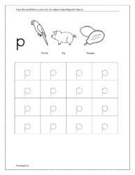 Trace small letter p and color the objects beginning with the letter p