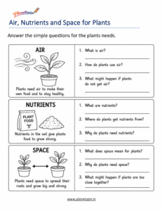 Air nutrients and space worksheet for Grade 1