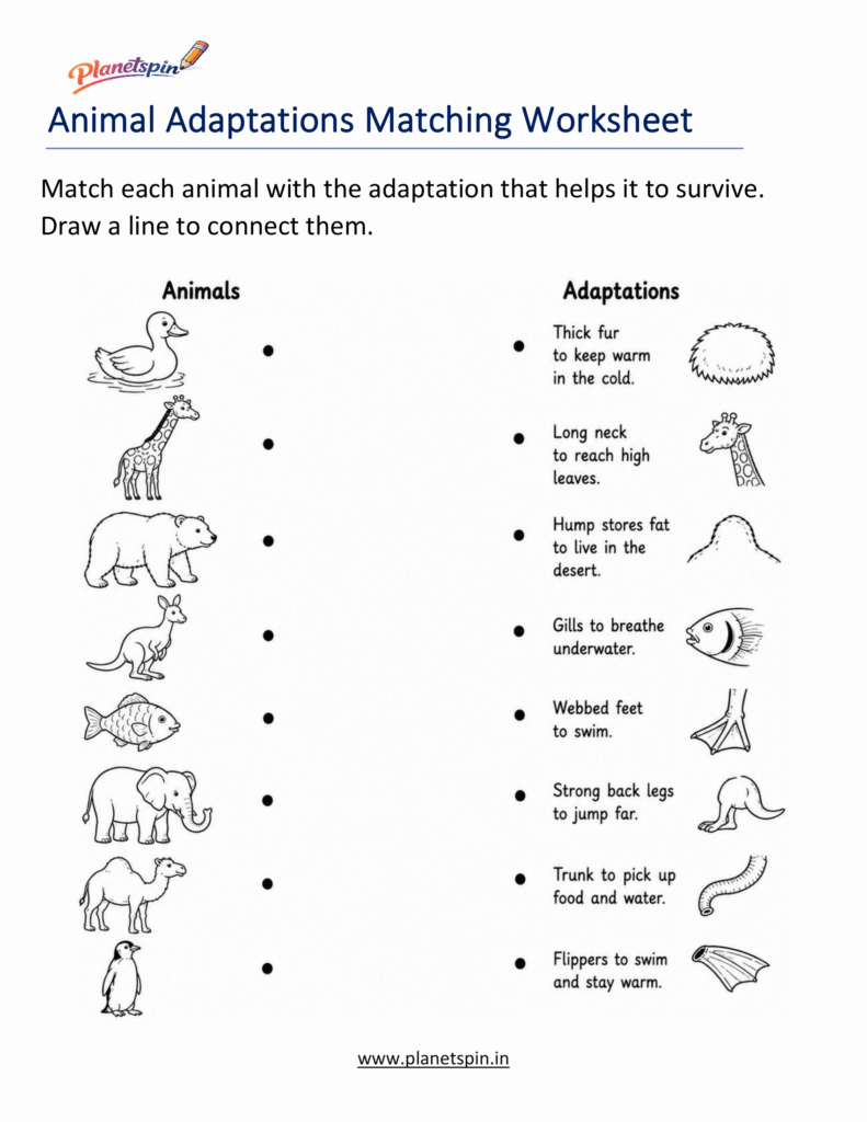 Printable animal adaptations worksheet for grade 1