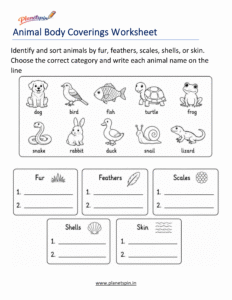 Animal body coverings worksheet