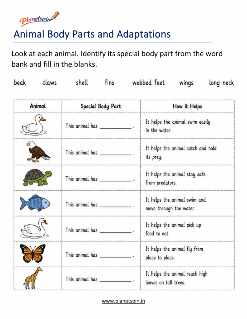 Grade 1 animal adaptations science worksheet
