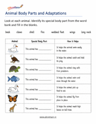 Grade 1 animal adaptations science worksheet