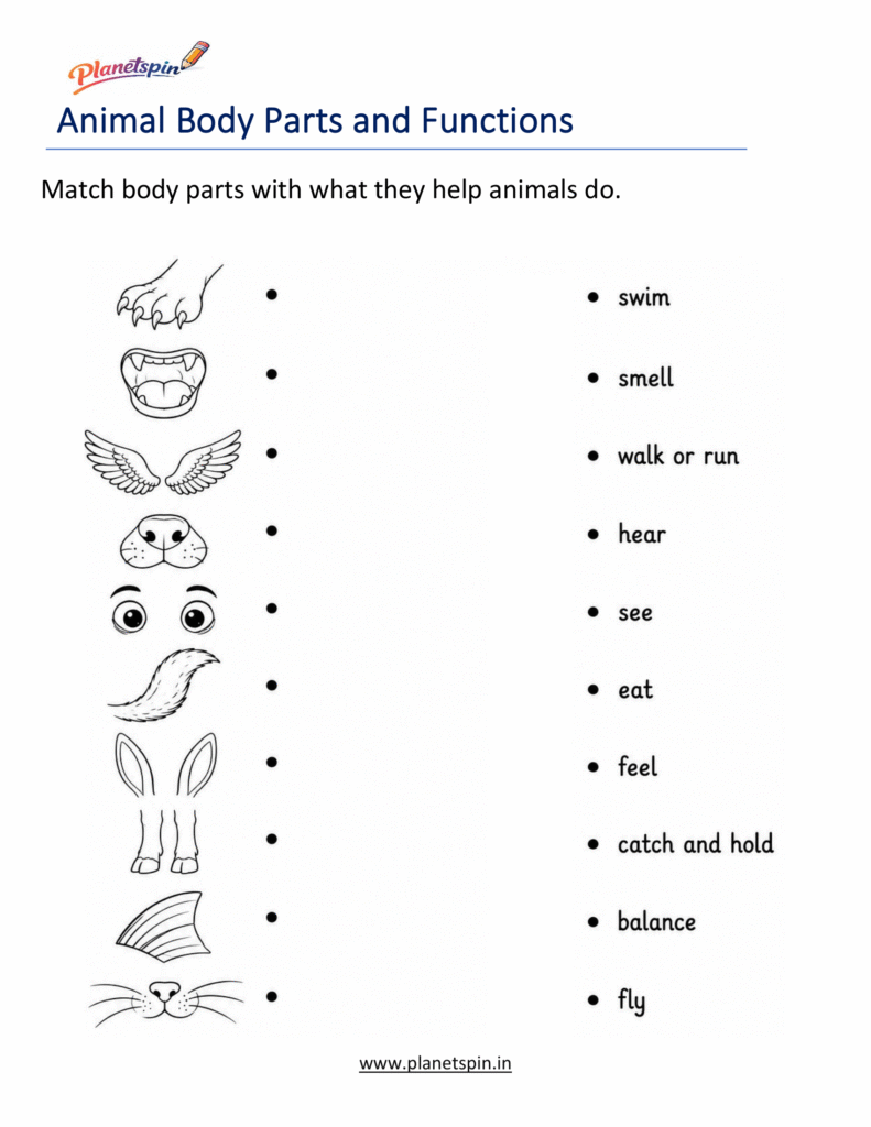 Animal body parts worksheets for grade 1