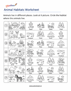 Identify animal habitats worksheet