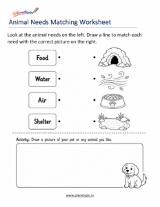 Match animals with their needs worksheet