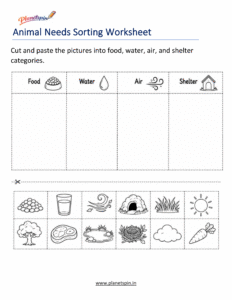 Animal needs sorting worksheet
