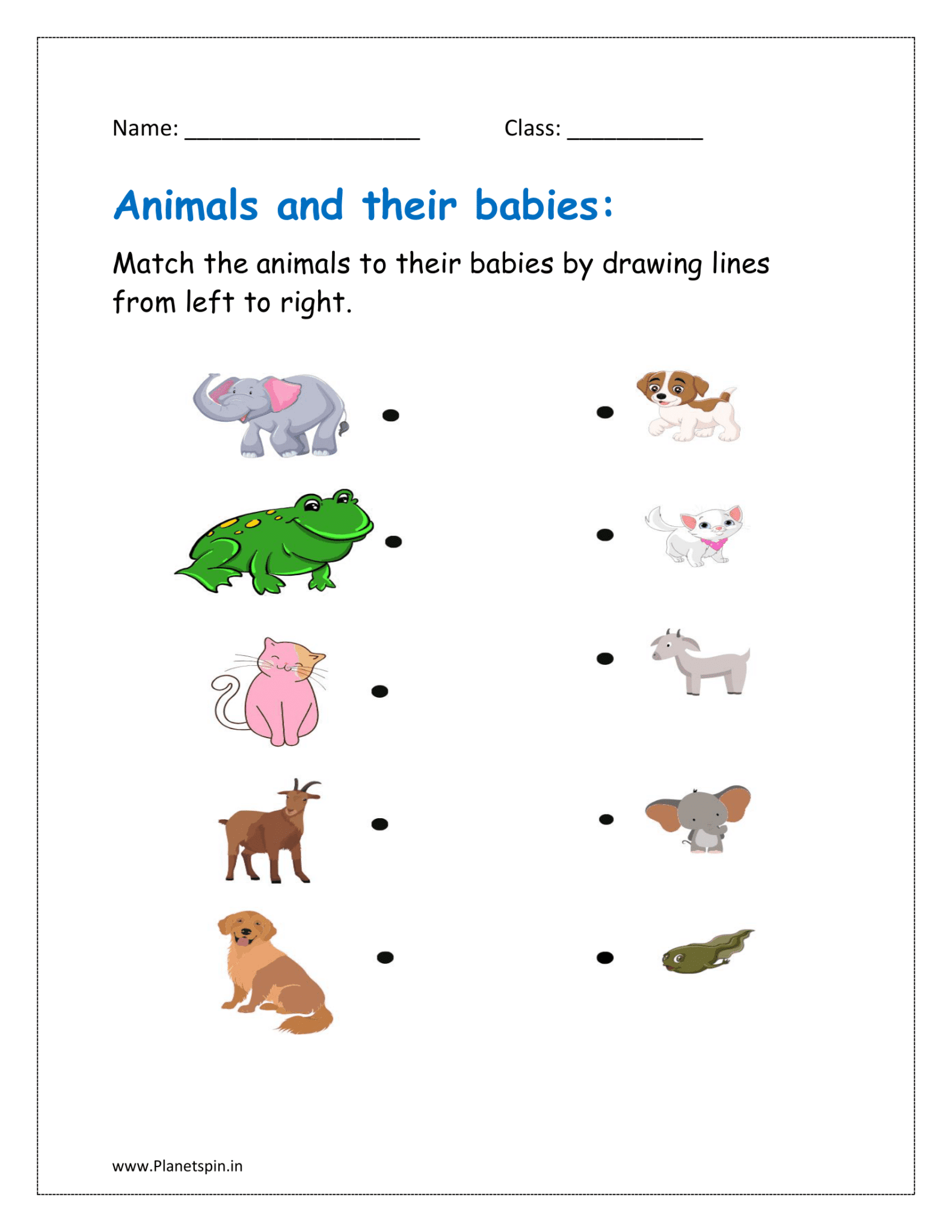 Animals and their young ones worksheet | Planetspin.in
