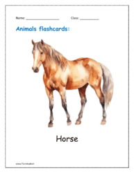 Animals flashcards for kindergarten