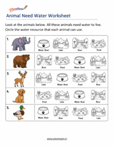 Animal food and water needs worksheet