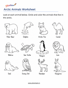 Polar animal habitats worksheet for grade 1