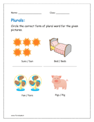 Circle the correct form of plural word for the given pictures worksheet