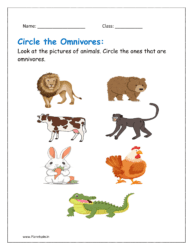 Omnivores animals worksheets