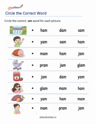 -AM Word Family Worksheets printable for Kindergarten