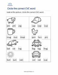 Identify CVC words