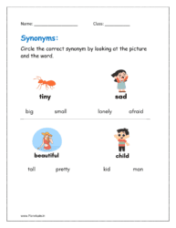 Circle the correct synonym by looking at the picture and the word