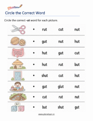 Free Printable -UT Word Family Worksheets PDF