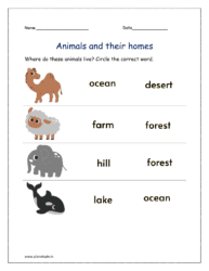 Where do these animals live? Circle the correct word