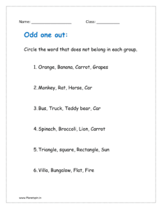 Circle the word that does not belong in each group.