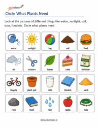 Plant Needs Worksheets for Grade 1 with water sunlight air nutrients and space