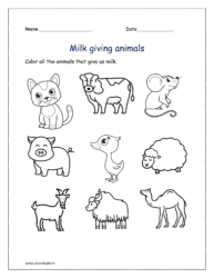 Milk giving animals: Color all the animals that give us milk