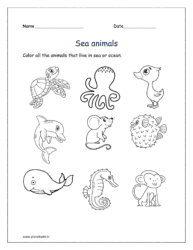 Sea animals: Color all the animals that live in sea or ocean