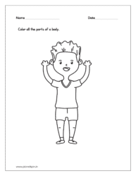 Color all the parts of a body (Kindergarten worksheet science)