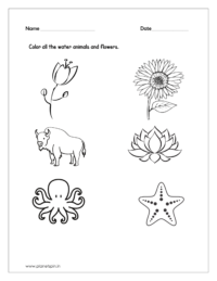 Color all the water animals and flowers