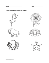 Color all the water animals and flowers (Kindergarten worksheet science)