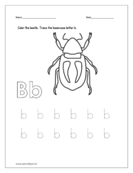 Color the beetle and trace the lowercase letter b