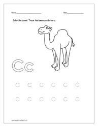 Color the camel and trace the lowercase letter c.
