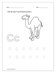 Color the camel 