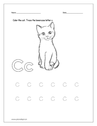 Color the cat 