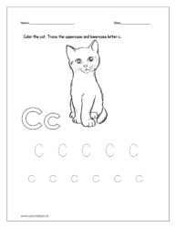 Color the cat and trace uppercase and lowercase letter 