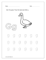 Color the goose and trace the lowercase letter g.