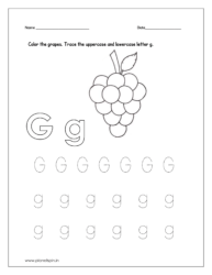 Color the grapes and trace the uppercase and lowercase letter g.
