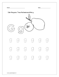 Color the guava and trace the letter.