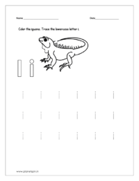 Color the iguana and trace the small letter.