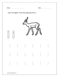 Color the impala  and tracing the letter i given in the printable worksheet