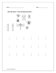 Color the insects and trace the lowercase letter i