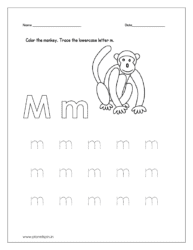 Color the monkey 