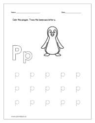 Color the penguin (letter p tracing worksheets pdf)