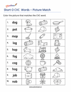 Color the Correct short O CVC Word worksheets