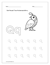 Color the quail and trace the lowercase letter q.