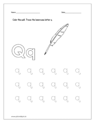 Color the quill 