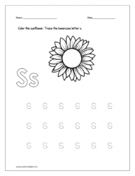 Color the sunflower and trace the lowercase letter s.