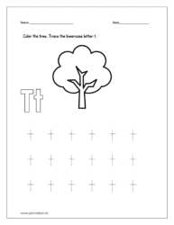 Color the tree and trace the lowercase letter t.