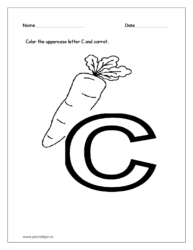 Color the uppercase letter C and color the Carrot