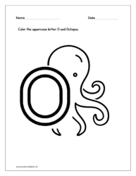 Color the Octopus