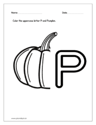 Color the Pumpkin