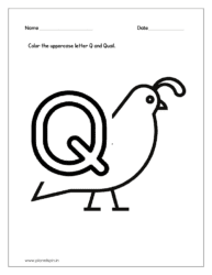 Color the Quail (alphabet tracing worksheets capital letters)